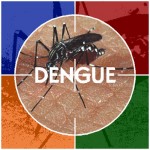 dengue cible.jpg